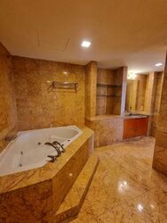 Orchard Scotts (D9), Condominium #502514501